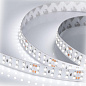 021448 светодиодная лента ARLIGHT RT 2-5000 24V Day 5000 2x 2, 3528, 1200 LED, CRI 98