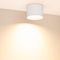 054913 Arlight Светильник SP-BISCOTTO-R120-12W Warm3300-MIX (WH, 80 deg, 230V) — фото 3