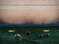 MAL 10 Uplight - мойка стен Flexalighting — фото 1