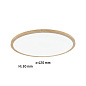 71034 Paulmann Atria Shine Круглый светильник IP44, 420 мм, 22 Вт, 2300 лм, 4000 К, имитация дерева — фото 1