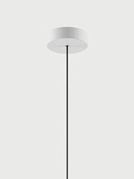 R11L01 1000 Lodes Canopy подвесной светильник с одним плафоном белого цвета