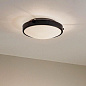Lytham 20.5" 3 Light Flush Mount Black потолочный светильник 42276BK Kichler — фото 2