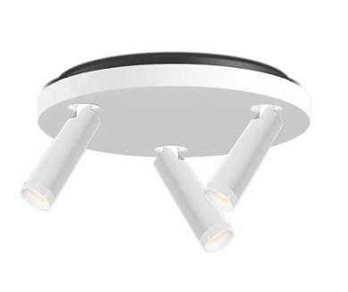 CCL03-3 Grau Clear SPOT TRIO WHITE/WHITE Накладной спот белый