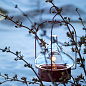 166002014 Roger Pradier La hutte HANGLAMP N°2 ORANJE 014 Подвес или настольная лампа — фото 2