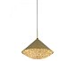 Подвесной светильник Newport Alsu 8132/S matted gold — фото 1