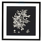 106545 Prints EC191 Black & Tan Corals set of 4  Eichholtz