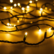 ARD-STRING-PRO-1000-100LED-PULSE