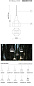 SE683N3-EXT SETTENANI Karman уличный светильник — фото 12