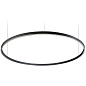 BZRC1720G15DBO Nemo Zirkol Circle Bi SP L подвесной светильник с круговым двунаправленным светом белый — фото 1