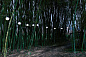 Подвесной светильник Kiki Martinelli Luce 21004/10/NE — фото 5