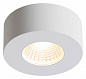 4282/7CL Odeon Light Bene потолочный светильник, 7Вт, 3000K, 791лм, белый — фото 1
