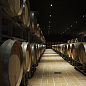 Потолочный светильник Simes Microzip Led Downlight квадратный Comfort S.5525 — фото 4