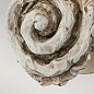 Настенный светильник Swirl Flambeau FB-SWIRL-1L-W костяно-белый — фото 4
