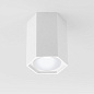 Накладной светильник 25037/LED Elektrostandard a055858 — фото 1