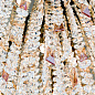 LU 2517/120x45 gold Crystalriver Orion подвесная хрустальная люстра — фото 4
