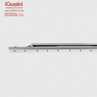 QB25 iN 60 iGuzzini Up / Down LO plate - ON-OFF - General Light - LED Neutral - L 3588