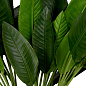 Искусственное растение Strelitzia Leaves Eichholtz 119287 — фото 2