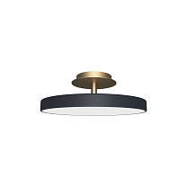 Asteria Up Plus - Anthracite / Mini