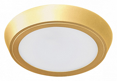 уличный потолочный светильник золотого цвета с рассеивателем