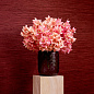 Искусственное растение Cymbidium Orchids Eichholtz 119282 — фото 1