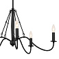 Freesia 5 Light Chandelier Textured Black люстра 52455BKT Kichler