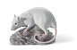 1008289 Lladro Chinese Zodiac фарфоровая фигурка крысы на подставке — фото 1
