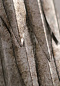 TWL91L Large Leaf настенный светильник Porta Romana — фото 7