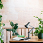 33303 Anglepoise настольная лампа — фото 11