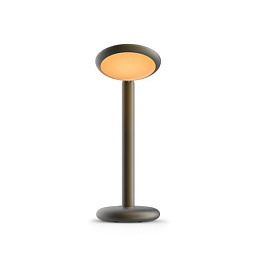 PAD1-50 Grau Parrot TABLE BLACK BRASS Настольная лампа черный