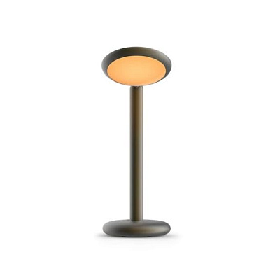 PAD1-50 Grau Parrot TABLE BLACK BRASS Настольная лампа черный