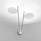 LW23 Catellani&Smith Lederam W2 — фото 5