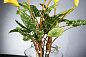 ETERNITY ALFEO CALLA TRIS среднее цветочное украшение, VGnewtrend — фото 8