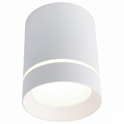 A1909PL-1WH Arte Lamp накладной потолочный светильник цилиндрический светодиодный