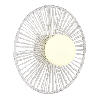 Настенный светильник Evoluce Luna SLE6022-501-01