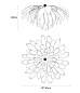 Подвесной светильник SERIP Dandelion Soffione — фото 1