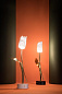 Настольная лампа Tulip SLAMP — фото 7