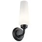 Truby 11.5" 1 Light Wall Sconce Black настенный светильник 55073BK Kichler