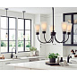 Erma 24" 5 Light Chandelier Black люстра 52443BK Kichler — фото 2
