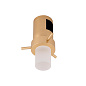 044305 Arlight Светильник ART-APRIORI-LANTERN-C-R60-5W Day4000 (GD, 350 deg, 48V) — фото 2
