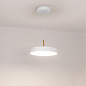 Подвесной светильник Arlight SP-ELEGANT-R300-17W — фото 7