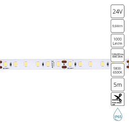 A2412008-06-6K Arte Lamp AQUA-TAPE светодиодная лента дневного свечения