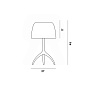 FN026001E_26D Foscarini Lumiere Nuances TL L настольный светильник со стеклянным плафоном нейтральный серый — фото 1