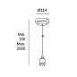 71-4820-50-50 Leds C4 Vintage LED Pendant — фото 1