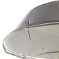 Подвесной светильник Arte Lamp PANDORA A9183SP-1WG — фото 2