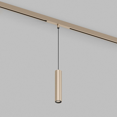 Трековый светильник Denkirs Shine Prime DK4944-CP