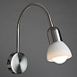 A3116AP-1SS Arte Lamp Falena бра E14 1х40W — фото 1