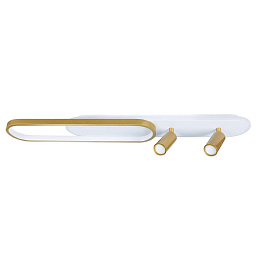 A2600PL-32GO Arte Lamp LUCAS потолочный светильник с вытянутым корпусом белого цвета
