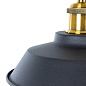A7038SP-1BK Arte Lamp Cappello подвесной светильник E27 1х60W — фото 2