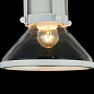 Подвесной светильник Argo Maytoni белый-прозрачный T268-PL-01-W