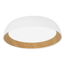 SLE1812-502-01 ST-Luce Myuze потолочный светильник